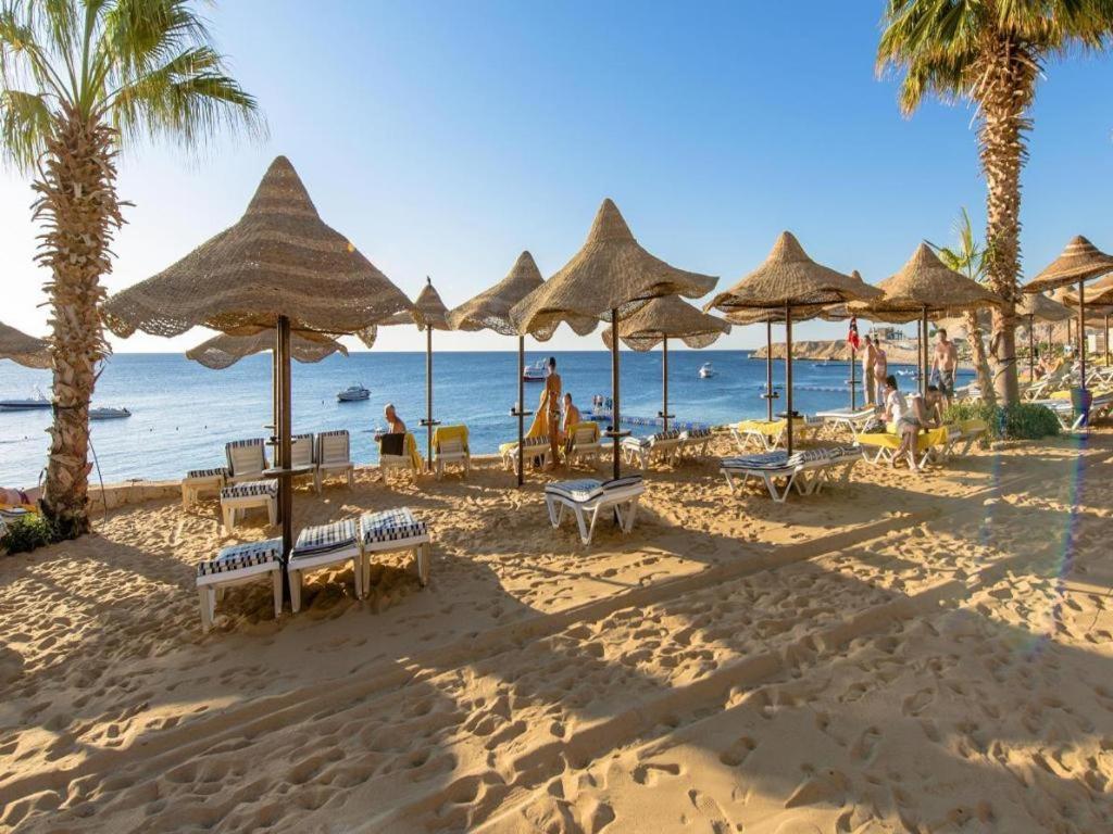 Concorde El Salam Sharm El Shiekh Hotell Eksteriør bilde